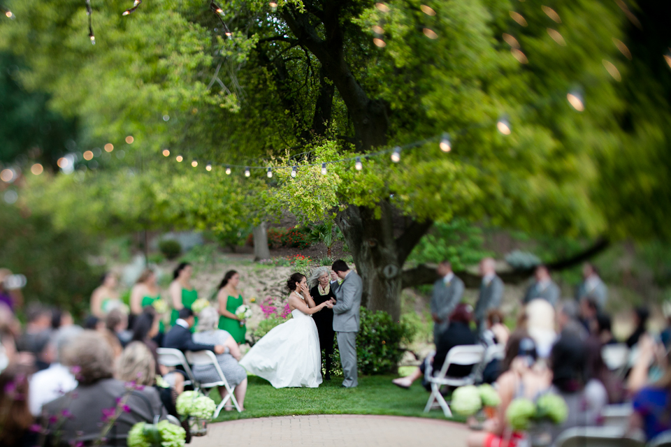 ceremony under tree, tilt shift, bride and groom crying, emotions, hanging lights