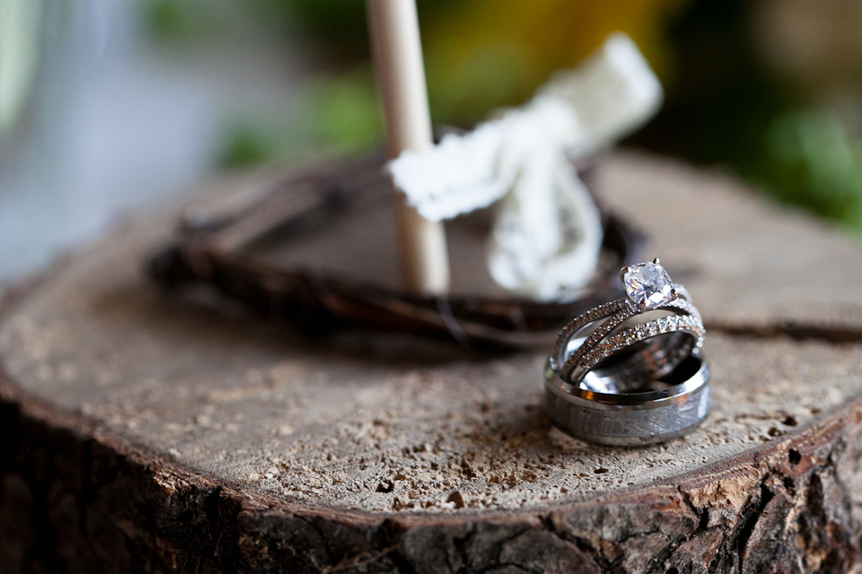 wedding rings, macro, tree trunk,