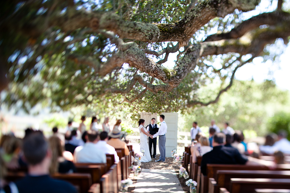 los laureles lodge, wedding under oaktree, oak tree, ceremony, bride and groom