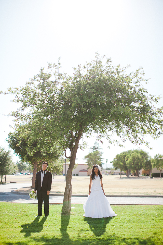 couple under lone tree, wedding couple