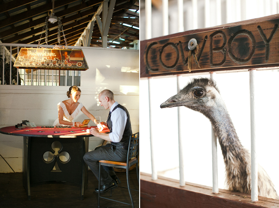 jasmine lee photography, ranch wedding, walnut creek wedding photographer, farm wedding, outdoor rustic wedding, cattle, emu