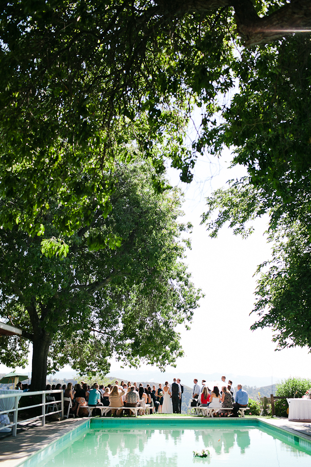 jasmine lee photography, ranch wedding, walnut creek wedding photographer, farm wedding, outdoor rustic wedding, cattle, emu