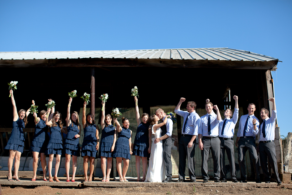 jasmine lee photography, ranch wedding, walnut creek wedding photographer, farm wedding, outdoor rustic wedding, cattle, emu