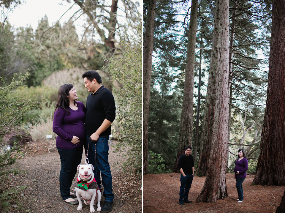 san_francisco_maternity_photographer, tilden park maternity session, tilden park, berkeley maternity photographer, christmas maternity session, christmas card session, nature maternity session, berkeley bontanical gardens photoshoot