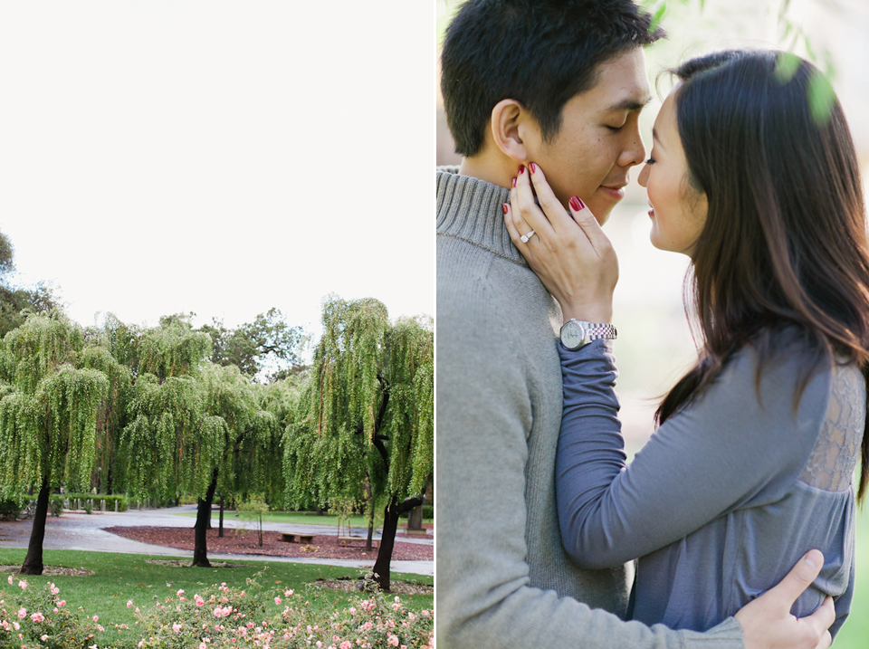 stanford engagement photographer, stanford university, palo alto engagement photographer, columns, couple, photos of couple, willow trees, intimate moment