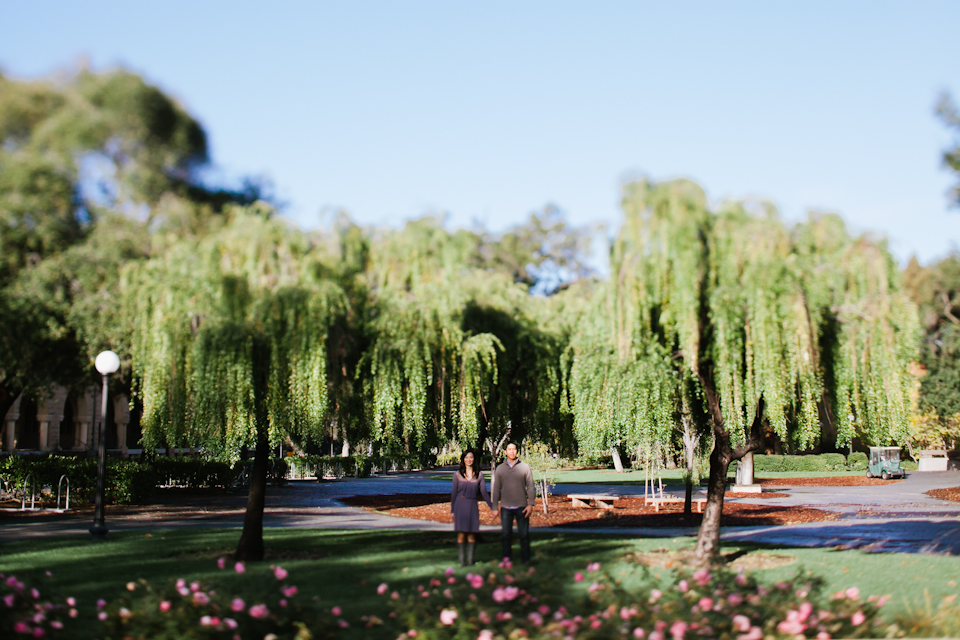 stanford engagement photographer, stanford university, palo alto engagement photographer, columns, couple, photos of couple, willow trees