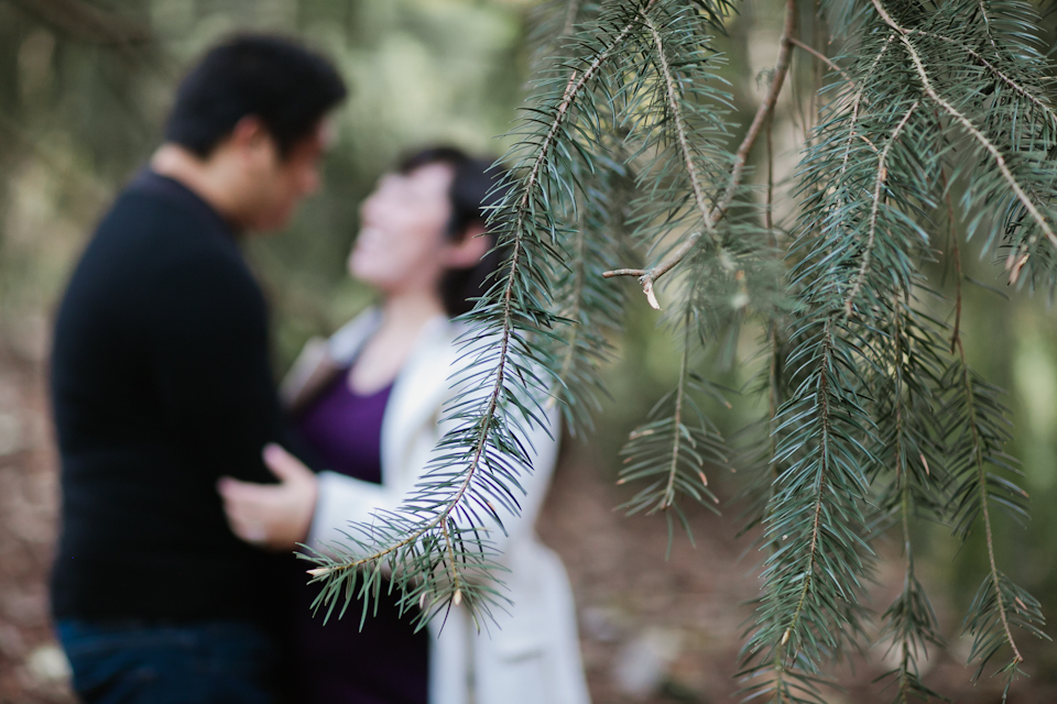 san_francisco_maternity_photographer, tilden park maternity session, tilden park, berkeley maternity photographer, christmas maternity session, christmas card session, nature maternity session, berkeley bontanical gardens photoshoot