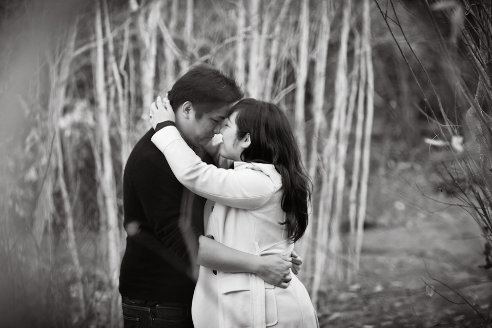 san_francisco_maternity_photographer, tilden park maternity session, tilden park, berkeley maternity photographer, christmas maternity session, christmas card session, nature maternity session, berkeley bontanical gardens photoshoot