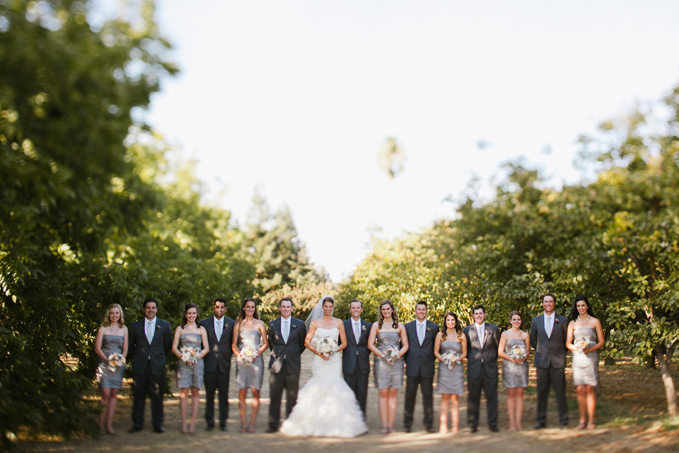 bear flag farm wedding, winters, ca, lavender field wedding, wedding couple in lavender field, private estate wedding, california premier wedding venue, rustic details, vintage details, outdoor rustic wedding, outdoor ceremony tent, mr. and mrs. pillows