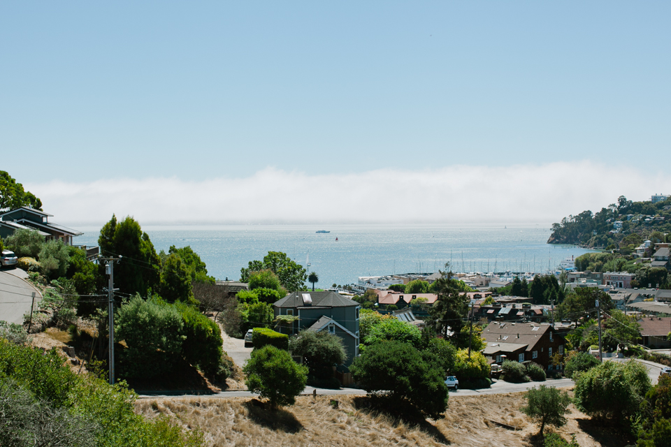 tiburon wedding, old st. hilary's church wedding, guaymas restaurant wedding lunch, bay area wedding photographer, tiffany blue bridesmaids, mill valley flowers, wedding with a view