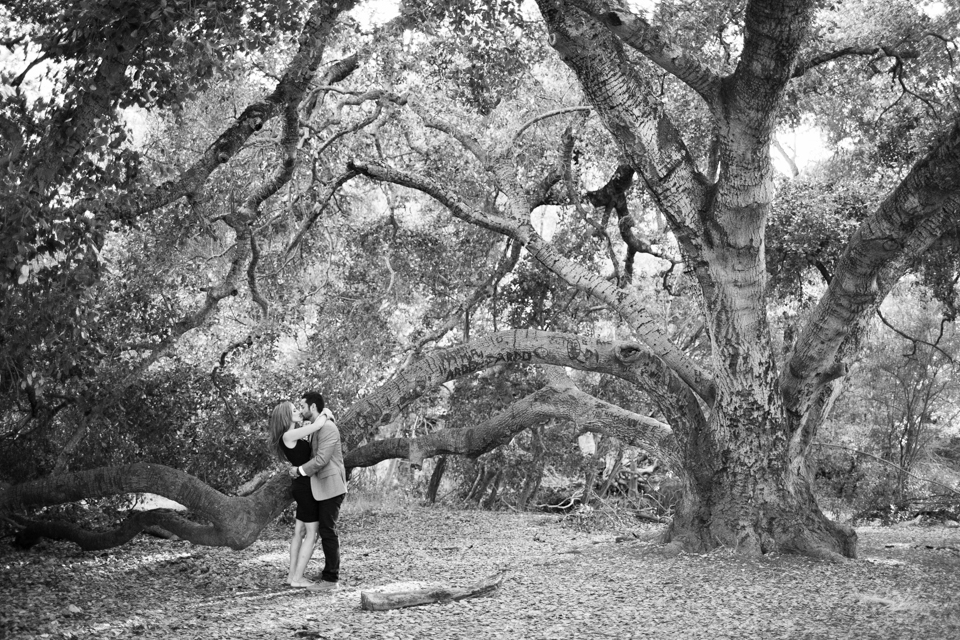 rustic engagement session, oak tree engagement, diy picnic, fine linens, boho, bohemian engagement session, lanterns, open field engagement, diy cork hearts, save the dates, east bay engagement session, sunol regional park engagement, engaged and inspired wedding, holman ranch wedding couple