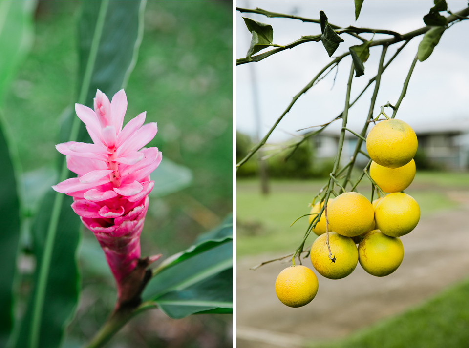 jasmine_lee_photography_kauai_008