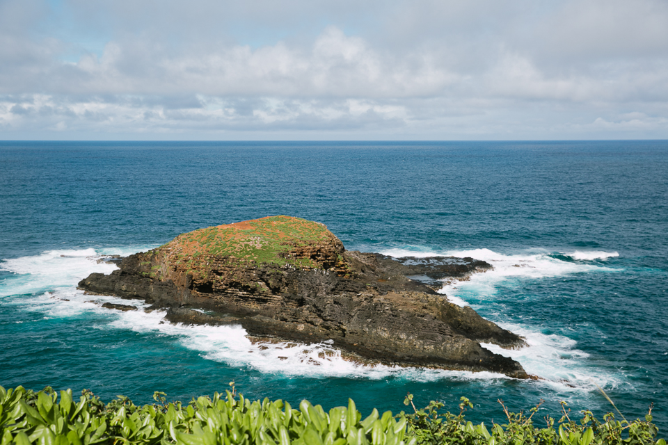 jasmine_lee_photography_kauai_021