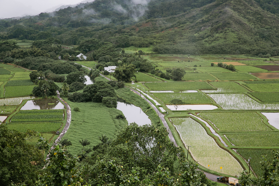 jasmine_lee_photography_kauai_026