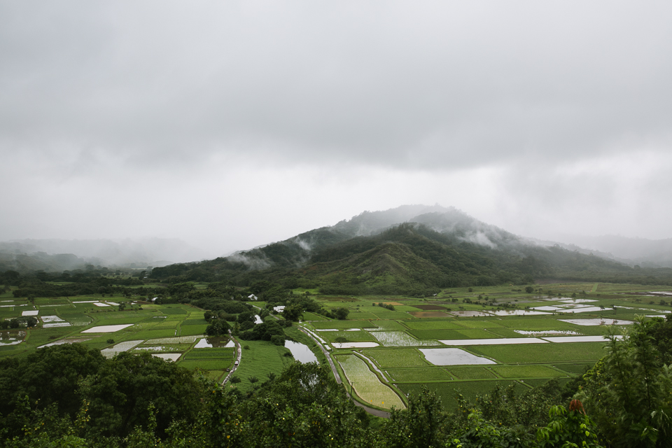 jasmine_lee_photography_kauai_027