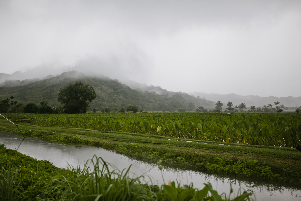 jasmine_lee_photography_kauai_034