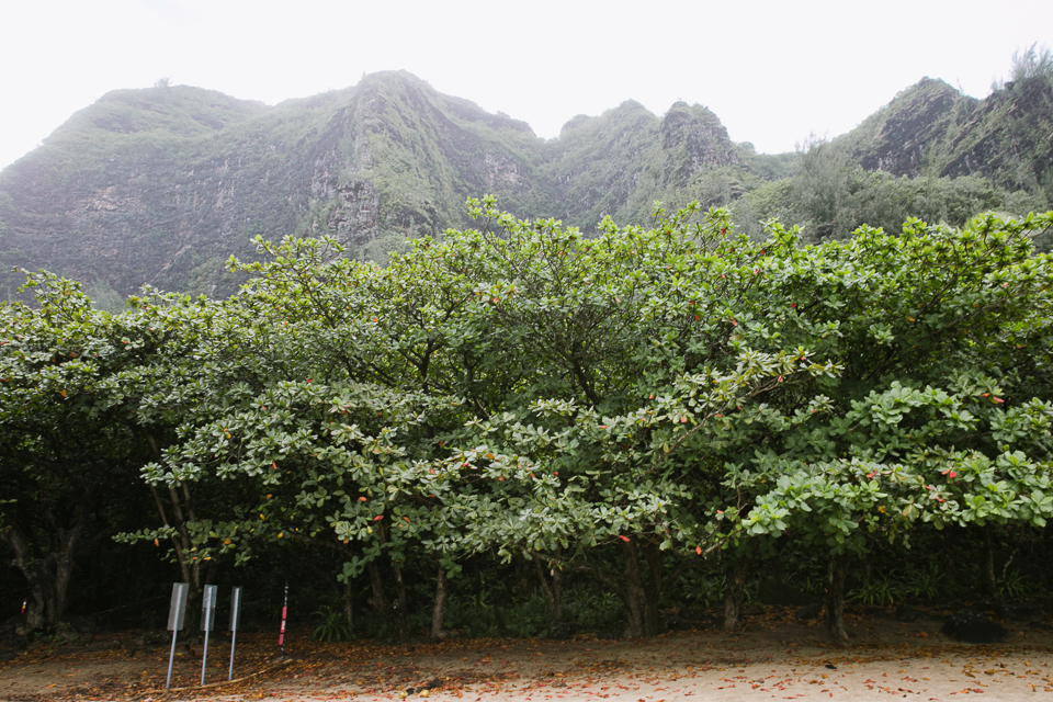 jasmine_lee_photography_kauai_036