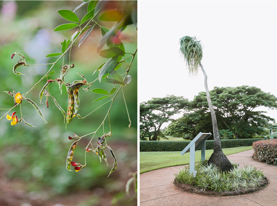 jasmine_lee_photography_kauai_048