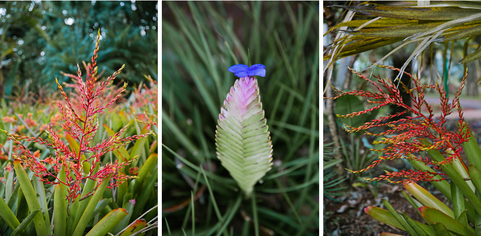 jasmine_lee_photography_kauai_053