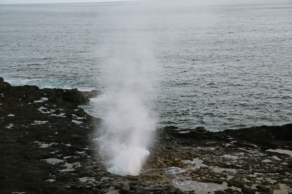 jasmine_lee_photography_kauai_055