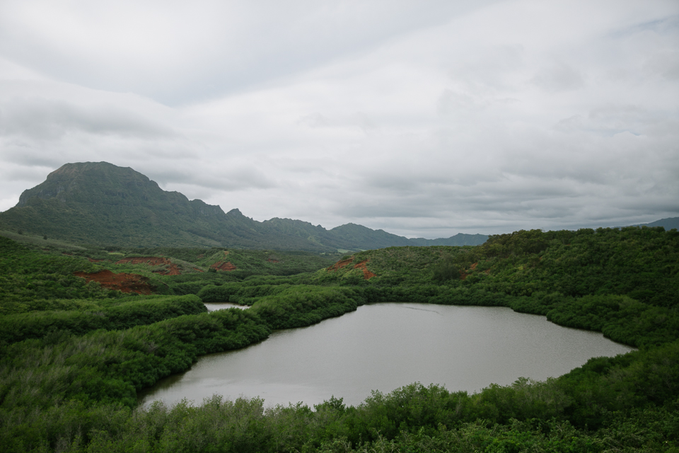 jasmine_lee_photography_kauai_064