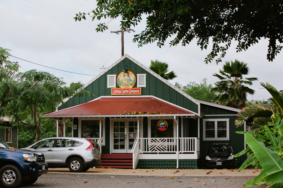 jasmine_lee_photography_kauai_071