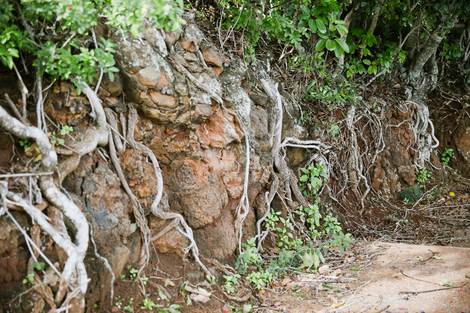 jasmine_lee_photography_kauai_079