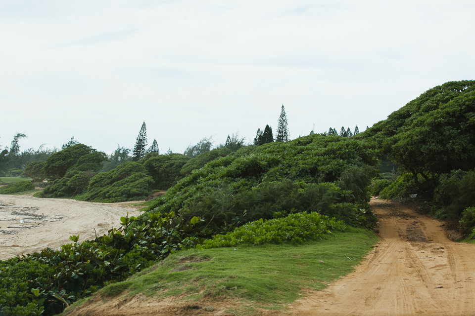 jasmine_lee_photography_kauai_082