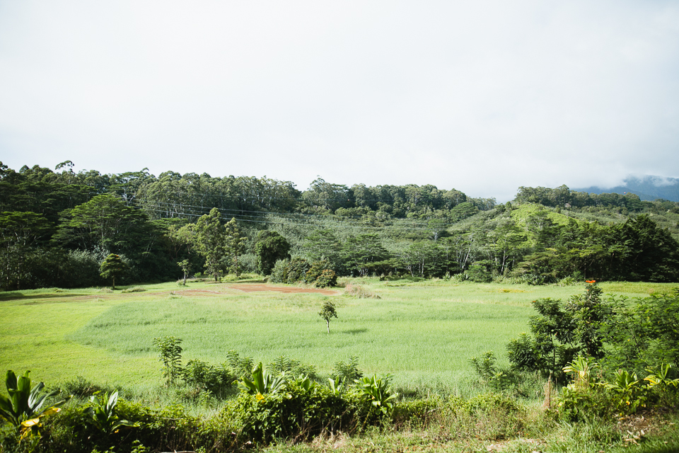 jasmine_lee_photography_kauai_083