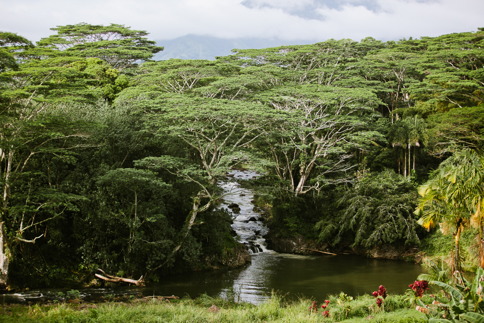 jasmine_lee_photography_kauai_092