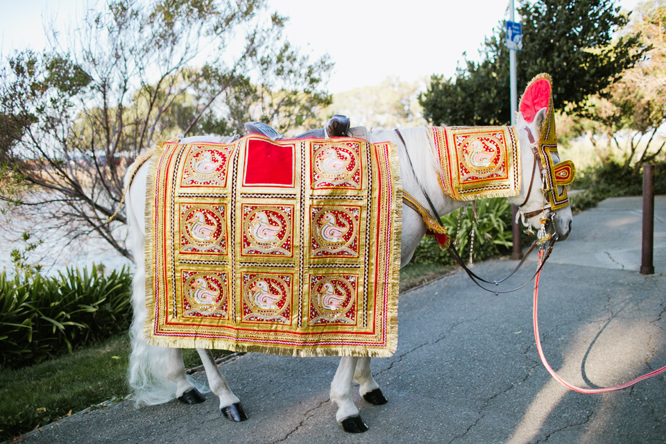 rustic bohemian wedding, bohemian bride, boho wedding, indian wedding, horse and groom, lace veil, etsy wedding, hotel wedding, san francisco bay area wedding photographer