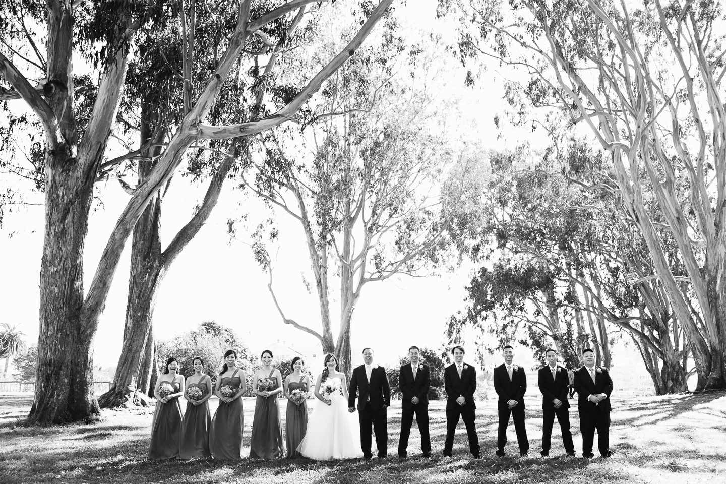 san francisco wedding photographer, bay area wedding photographer, rustic wedding photographer, jasmine lee photography