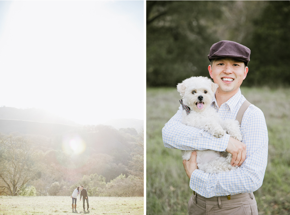 sunol regional park engagement session, post-wedding session, anniversary session, open fields, oak tree, golden light, vintage post-wedding session, cows, east bay wedding photographer, bay area wedding photographer, jasmine lee photography, flower fields