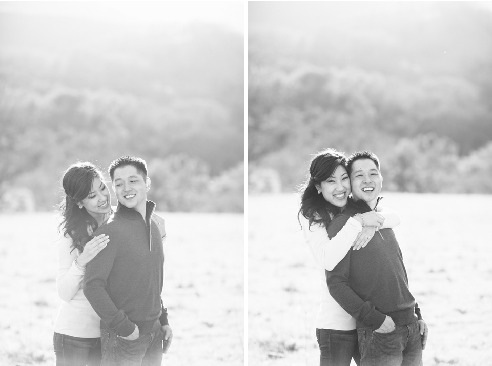 sunol regional park engagement session, post-wedding session, anniversary session, open fields, oak tree, golden light, vintage post-wedding session, cows, east bay wedding photographer, bay area wedding photographer, jasmine lee photography, flower fields