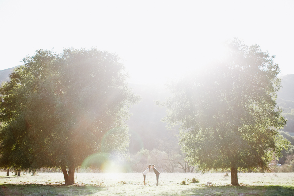 sunol regional park engagement session, post-wedding session, anniversary session, open fields, oak tree, golden light, vintage post-wedding session, cows, east bay wedding photographer, bay area wedding photographer, jasmine lee photography, flower fields