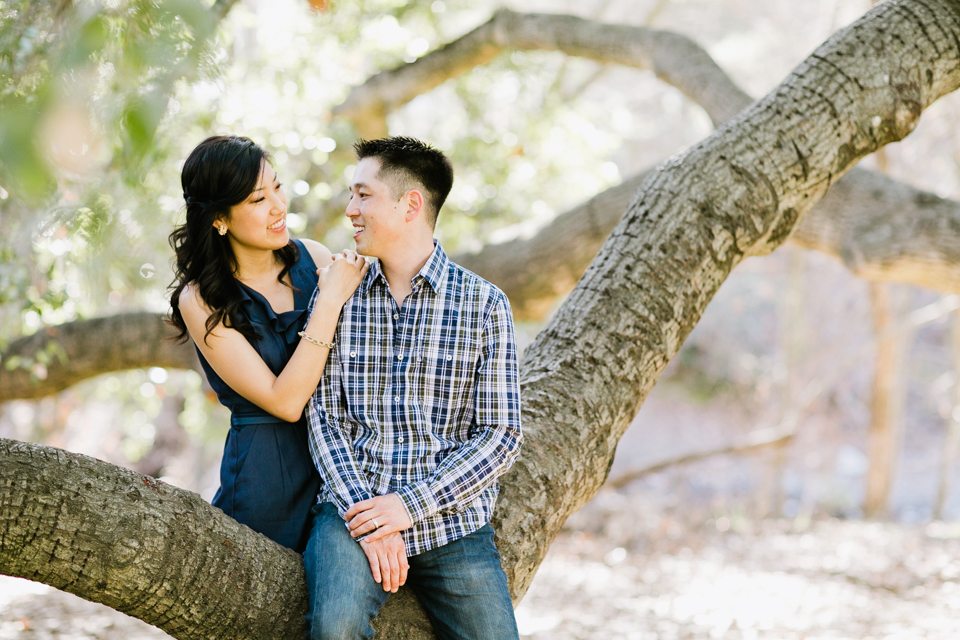 sunol regional park engagement session, post-wedding session, anniversary session, open fields, oak tree, golden light, vintage post-wedding session, cows, east bay wedding photographer, bay area wedding photographer, jasmine lee photography, flower fields