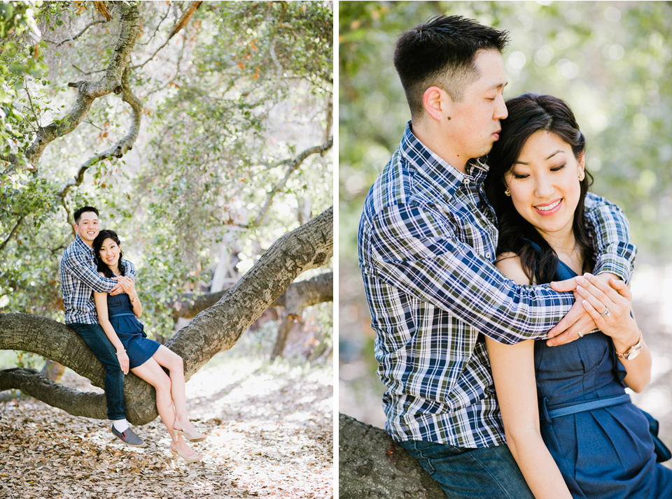 sunol regional park engagement session, post-wedding session, anniversary session, open fields, oak tree, golden light, vintage post-wedding session, cows, east bay wedding photographer, bay area wedding photographer, jasmine lee photography, flower fields