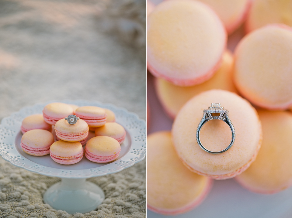 san francisco engagement photography, pier 7, urban engagement, weather balloons, shiba inu, napa couple engagement, golden light, whimsical engagement, picnic themed engagement, macaroons, macaron, creative engagement photography, bay area wedding photographer, charmed events group, jasmine lee photography