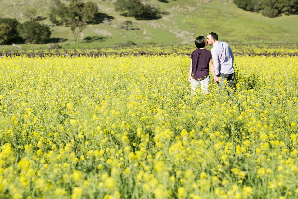 napa valley engagement session, st helena engagement session, wedding photography, mustard field engagement session, wild flower fields, beringer winery wedding, beringer engagement session, rustic engagement session, magnolia flowers, golden light, winter engagement session, bay area wedding photographer, winery engagement, jasmine lee photography
