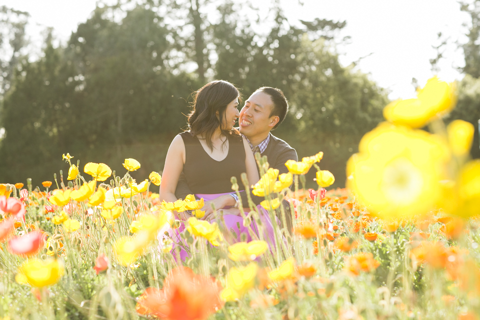 barrique wine bar engagement session, wine bar engagement, casual wine date, red wine and cheese, conservatory of flowers, flower field engagement session, golden gate park, picnic theme, magenta tulle skirt, golden light, urban engagement session, alleyway engagement, bay area wedding photographer, bay area engagement photographer, jasmine lee photography
