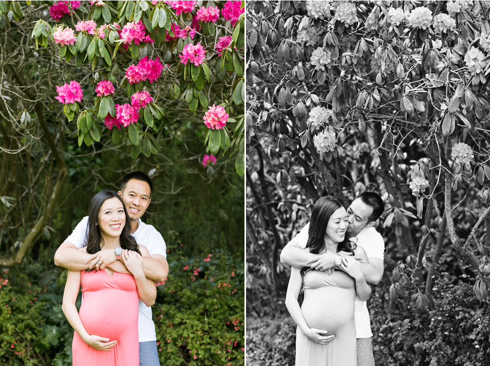 san francisco maternity photographer, pregnancy photography, golden gate park, conservatory of flowers, it's a girl, weather balloon, pink flower tree, nature maternity photos, bay area wedding photography, jasmine lee photography