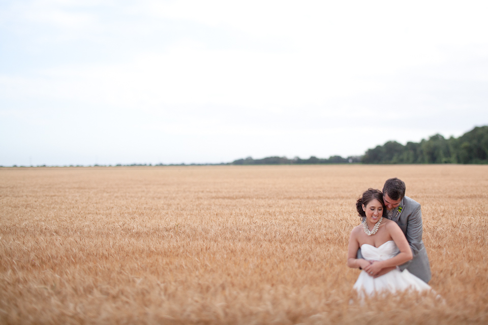bride and groom, wedding, wheat field, wedding photos in wheat field, couple