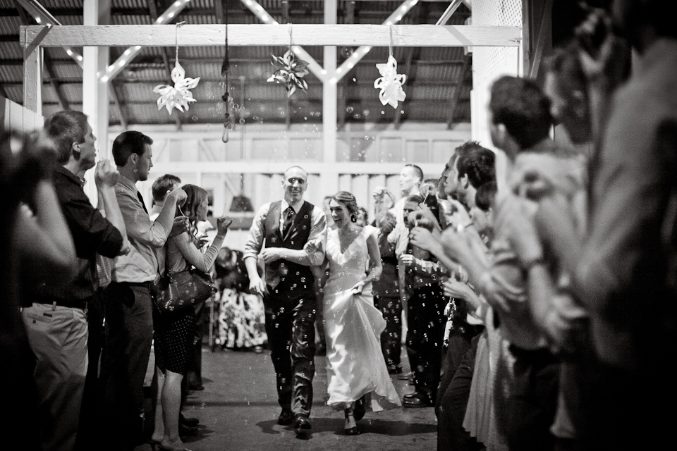 jasmine lee photography, ranch wedding, walnut creek wedding photographer, farm wedding, outdoor rustic wedding, cattle, emu