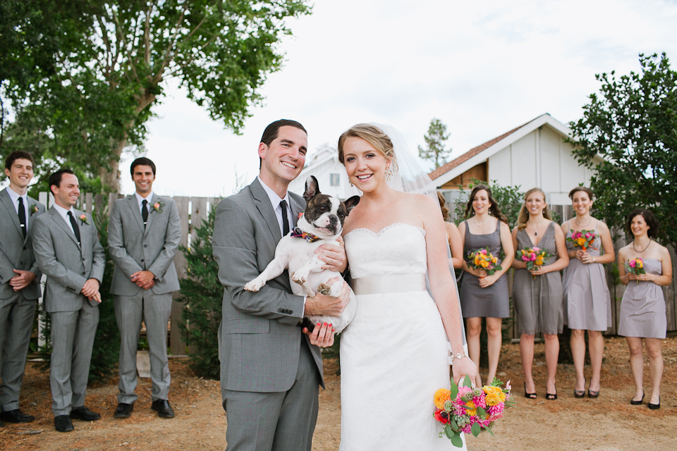 napa wedding photographer, private estate, wedding party, vineyards, bride and groom, wedding dog, dog groomsmen