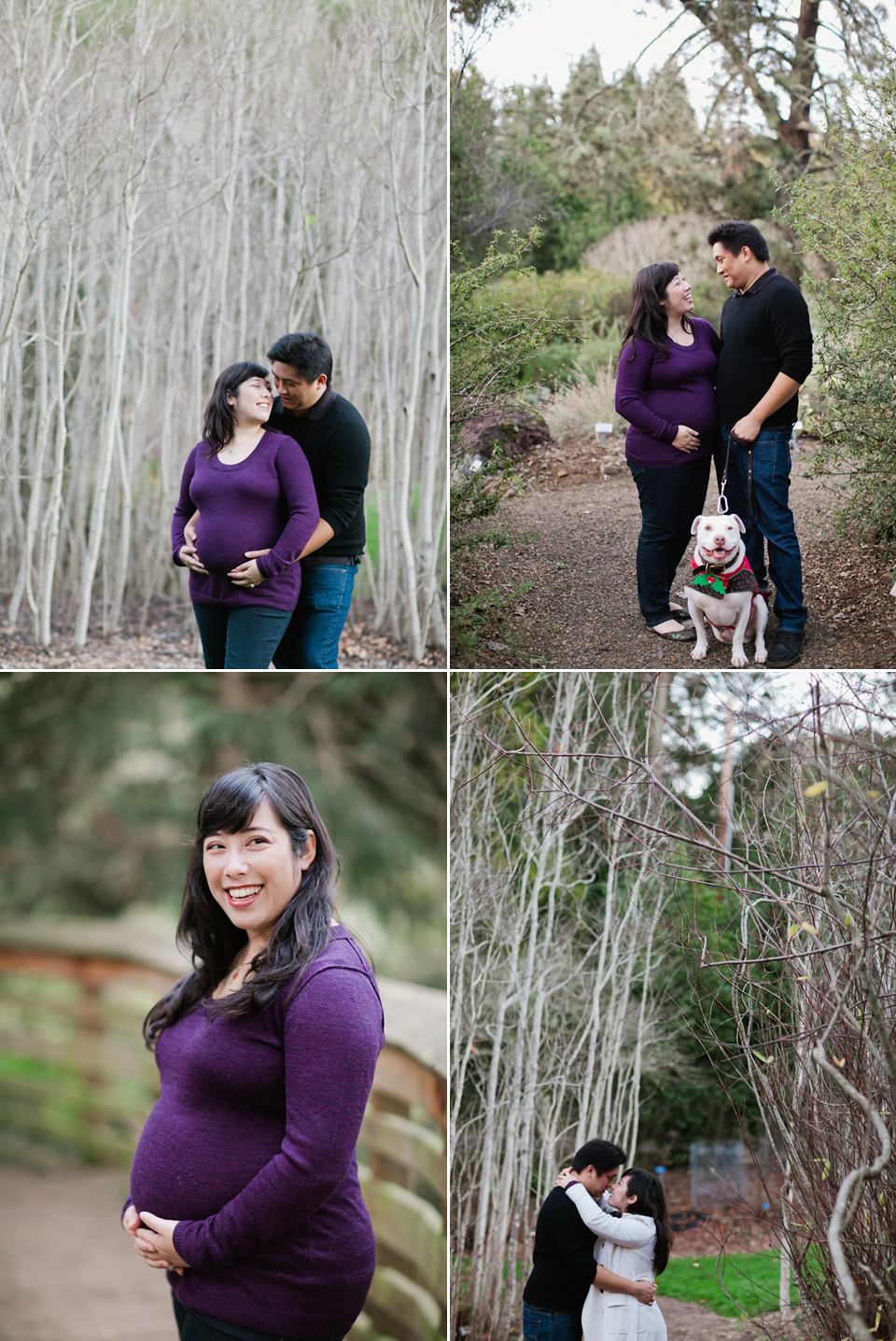 tilden park maternity photoshoot, botanical gardens, berkeley maternity photographer, winter photoshoot, winter maternity session