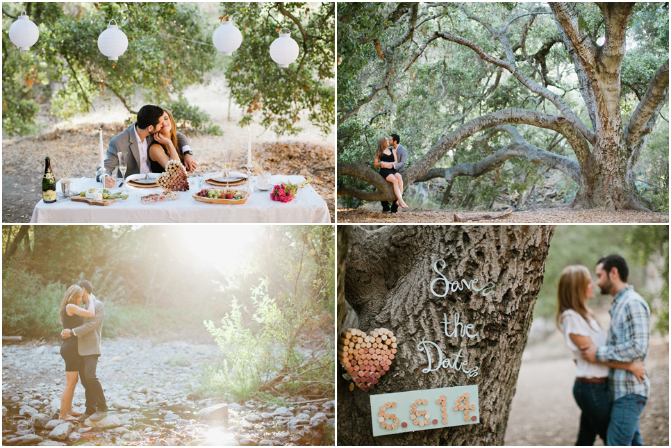 east bay engagement session, rustic picnic table, sunol regional park engagement session, oak tree, save the date