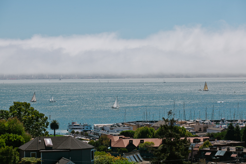 tiburon wedding, old st. hilary's church wedding, guaymas restaurant wedding lunch, bay area wedding photographer, tiffany blue bridesmaids, mill valley flowers, wedding with a view