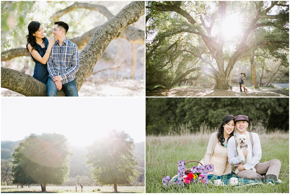 sunol regional park engagement session, post-wedding session, rustic engagement session, oak tree engagement, east bay engagement session, sunol, vintage engagement session, picnic engagement session, creative engagement photos