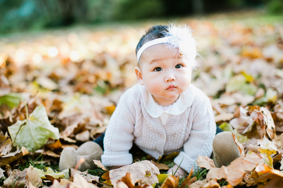 san francisco engagement session, san francisco engagement photographer, bay area wedding photographer, golden light, california wedding photography, jasmine lee photography, san francisco family session, golden gate park family session, family portraits, fall season, fall leaves, fall colors