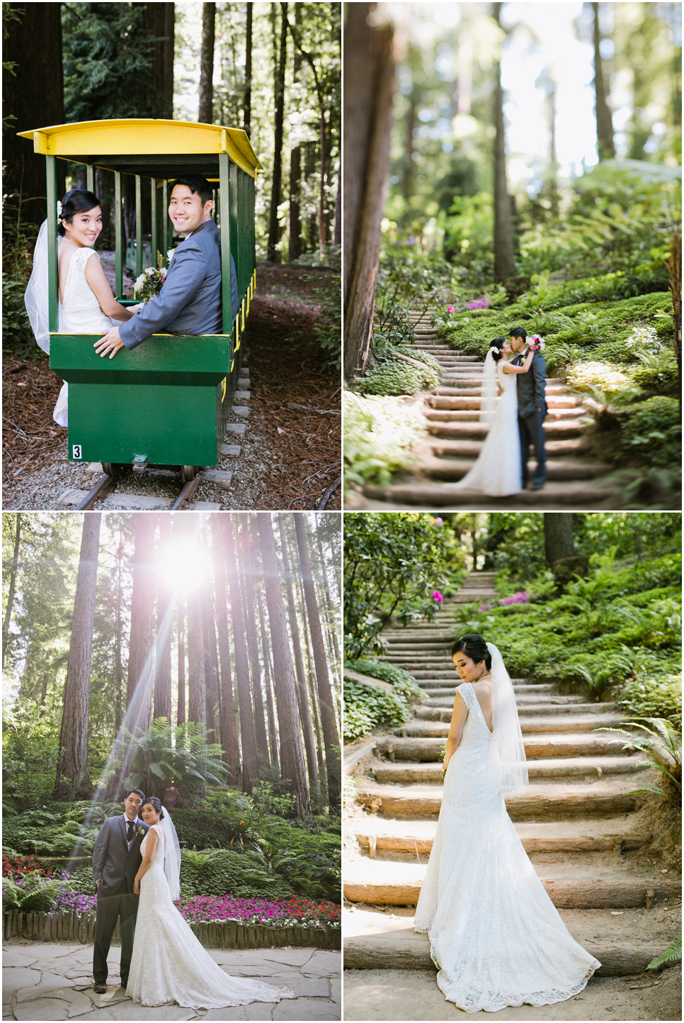 nestldown wedding photographer, los gatos wedding, south bay wedding photographer, forest wedding, redwood trees, japanese wedding, crane garlands, train ride, vintage car, golden light, jasmine lee photography